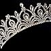 Sppry Women Tiara with Comb - Queen Crystal Crown for Bridal Girls at Wedding Prom Birthday Party, Gold
