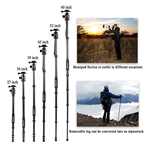 ZOMEi Z669 SLR Camera Tripod with Ball Head and Carrying Case