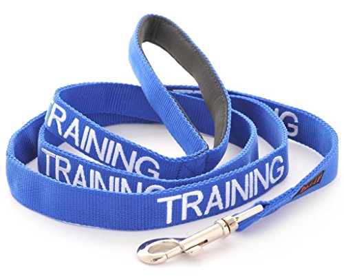 TRAINING Blue Color Coded 2 4 6 Foot Or Coupler Professional Adjustable Dog Leash (Do Not Disturb) PREVENTS Accidents By