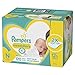 Amazon.com: Pampers Swaddlers Newborn 240 Diapers (12 packs of 20