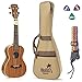 Tenor Ukulele Bundle, Deluxe Series by Hola! Music (Model HM-127MG+), Bundle Includes: 27 Inch Mahogany Ukulele with Aquila Nylgut Strings Installed, Padded Gig Bag, Strap and Picks