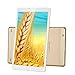 AOSON R103 10-Inch Android 6.0 Marshmallow MTK8163 Quad Core Tablet PC 2GB RAM 32GB internal Storage 1280x800 IPS HD Touch Screen Dual Camera Wi-Fi Bluetooth Golden rear