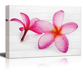 Pink Hawaiian Plumeria Flowers on White Wood Panels