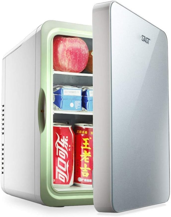 10L Electric Mini Fridge Cooler and Warmer Portable Compact Mini