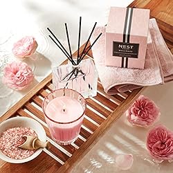 NEST Fragrances Himalayan Salt & Rosewater Reed