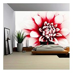 Close-Ups of Lovely Dahlia - Flowers and Plants - Removable Wall Mural | Self-Adhesive Large Wallpaper - 66x96 inches