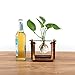 Plant Propagation Station,Plant Terrarium,Plant Starter,Gifts for Plant Lovers,Glass Bulb Terrarium with Retro Solid Wooden Stand for Hydroponics Plants Home Garden Wedding Décor (3 Bulbs)