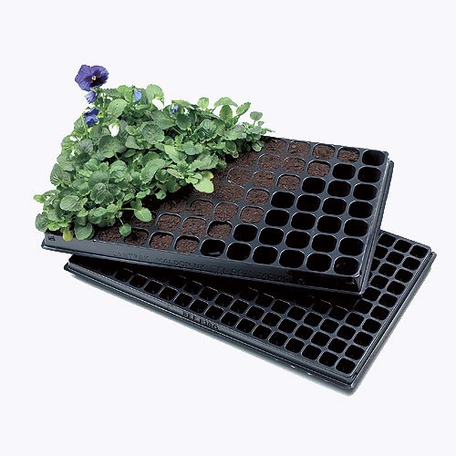 180 Cell Plug Trays Pack of 10 Amazon.co.uk Garden & Outdoors
