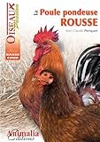 La poule pondeuse rousse by