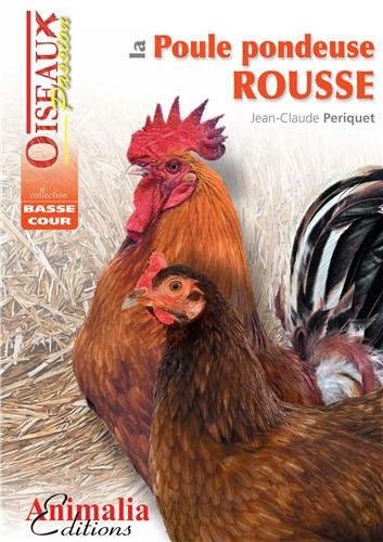 La poule pondeuse rousse by Jean-Claude Périquet
