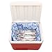 Easy Ice Reusable Ice Packs. 1 Sheet 4-ply.