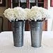 Rustic Metal 13 Inch Galvanized Flower Vase - Set of 2 - French Bucket - Farmhouse Style - Perfect for Fresh and Dried Floral Arrangements for Home and Weddings (Pewter Gray)