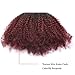 Ombre Remy Clip in Human Hair Extensions Afro Kinky Curly 4B 4C 100% Natural Black Hair Extensions 10-22 inch Two Tone T#1B/99J Burgandy Wine Red Full Head (12 inch, Ombre #1B/99J AC)