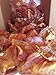 Pig Ears for Dogs 100 Pack - Regular Pig Ears