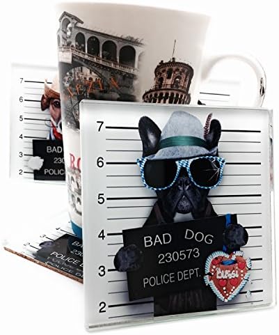 Glass Coasters Set for Drinks, Bar Drink Coasters, HD Photo ,6mm Thickness,Safety Poblish Edge,Set of 4 (4inch, Bad Dog)