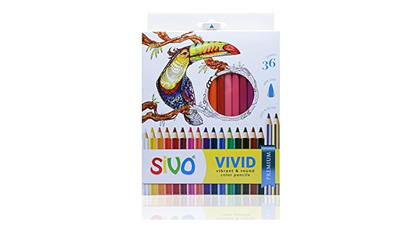 Sivo Vivid Colour Pencils Box Set Of 36 Buy Online At Best Price In Uae Amazon Ae