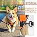 rabbitgoo Dog Harness No Pull with 2 Leash Clips, Adjustable Soft Padded, Reflective Oxford No Choke Pet Vest with Easy Control Handle for Large Dogs,Orange,L