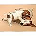 Mihachi 2 Pack Washable Pee Pads for Dogs - 41