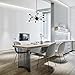 Light Society Meridia Sputnik 12-Light Chandelier Pendant, Matte Black, Mid Century Modern Industrial Starburst-Style Lighting Fixture (LS-C172-BLK)