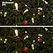 Brizled Indoor LED String Lights, 100 LED 33ft Mini String Lights, 120V UL Certified Fairy Lights for Indoor and Outdoor, Mothers Day, Patio, Garden, Party and Holiday Decorations, Warm White(3000K)