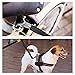 PAWISE Dog Bike Leash Hands Free Dog Leash 550-lbs Pull Strength Leash