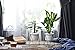 Planter Pots Indoor,6 inch Modern Plants and Planters Garden White Ceramic Round Bowl with Metal Stand for Succulent Planter Cactus (White + Gold)