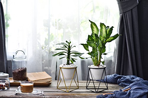 Planter Pots Indoor,Y&M(TM) 6 inch Modern Garden White Ceramic Round Bowl with Metal Air Plant Stand for Succulent Planter Cactus (White + Gold)