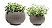 Keter Cozie Planter Set, Medium/Small, Harvest Brown