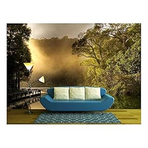 Landscape of Morning Sunrise with Lake and Forest. - Removable Wall Mural | Self-Adhesive Large Wallpaper - 66x96 inches