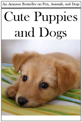Cute Puppies and Dogs