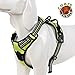 Chai's Choice Best Outdoor Adventure Dog Harness (Small, Green)