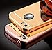 iPhone 5 5S Case,DAMONDY Luxury Metal Air Aluminum Bumper Detachable + Mirror Hard Back Case 2 in 1 cover Ultra-Thin Frame Case For Apple iPhone 5 5S(Gold)
