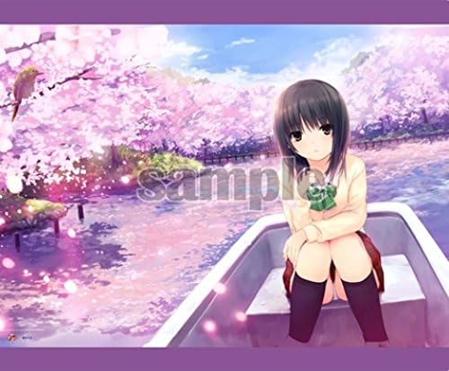 Amazon 青山澄香 桜 お花見デート 制服b2タペストリー珈琲貴族 手漕ぎボート 四季春 さくら イラスト 軸中心派 アニメ 萌えグッズ 通販