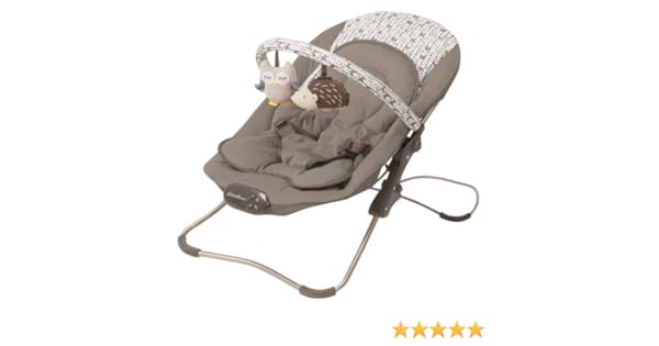 eddie bauer bouncer