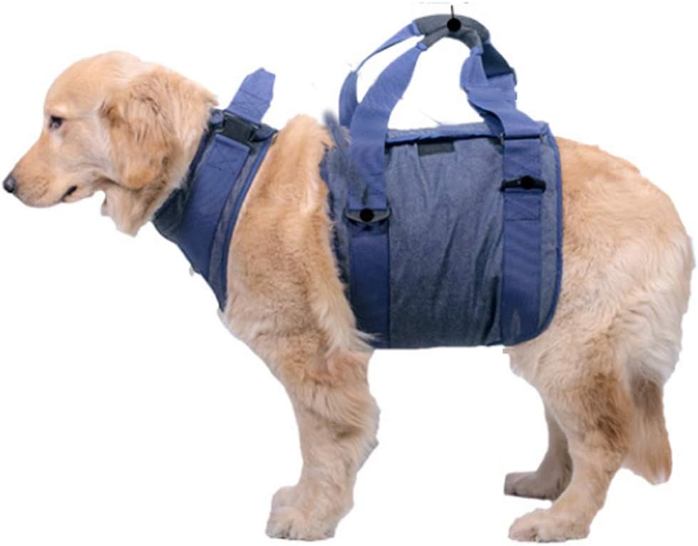 Amazon Com Pjddp Dog Lift Harness Pet Support Rehabilitation Sling Lift Adjustable Vest Breathable Straps Full Body Recovery Sling For Old Disabled Joint Injuries Arthritis Paralysis Dogs Walk Sports Outdoors