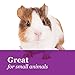 F.M. Brown's Tropical Carnival, Fruit and Nut Small Animal Treat, Real Fruits, Nuts, and Veggies for Rabbits, Hamsters, Guinea Pigs, Mice, Gerbils, and Rats, 8 oz