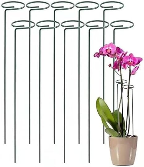 Amazon Champion Crafts 10個セット 園芸支柱 つる性植物 花ささえ 植物支柱 誘引 支柱 植物サポート フラワースタンド 農業用 園芸用 高さ30cm 支柱