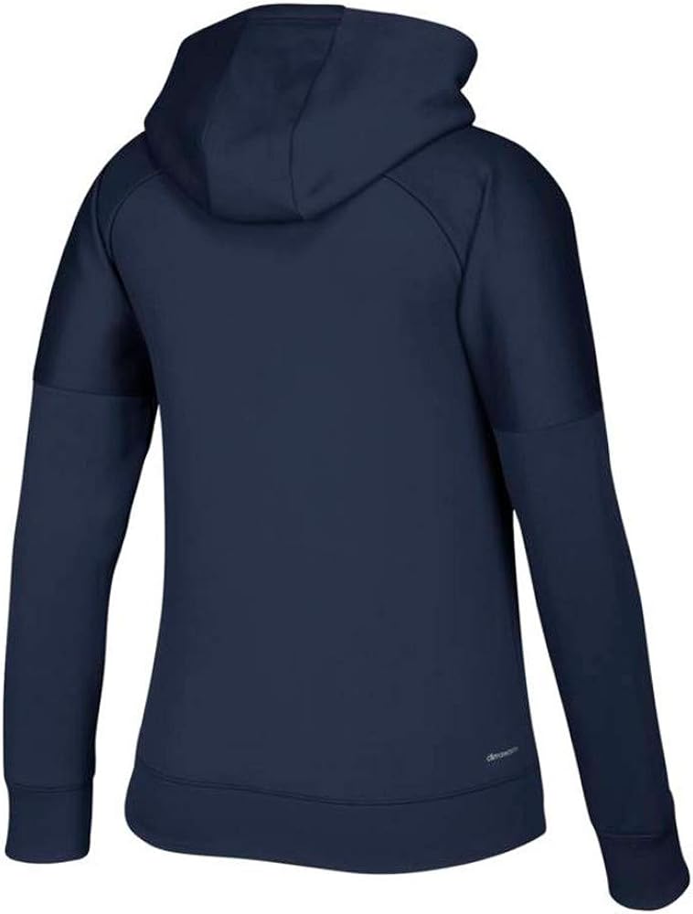 adidas shine logo hoodie