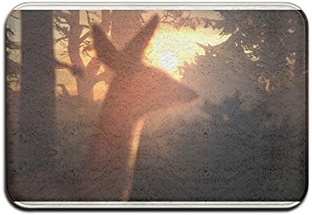 Life Is Strange Arcadia Bay Deer Non Slip Mat, Kitchen, Toilet, Laundry, Bedroom Or Pet Mat.