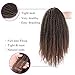 AISI HAIR Long Dreadlock Wig Marley Hair for Twists Wigs for Black Women Synthetic Fiber 16 Inch Black Mix Brown Color(1B/27#)