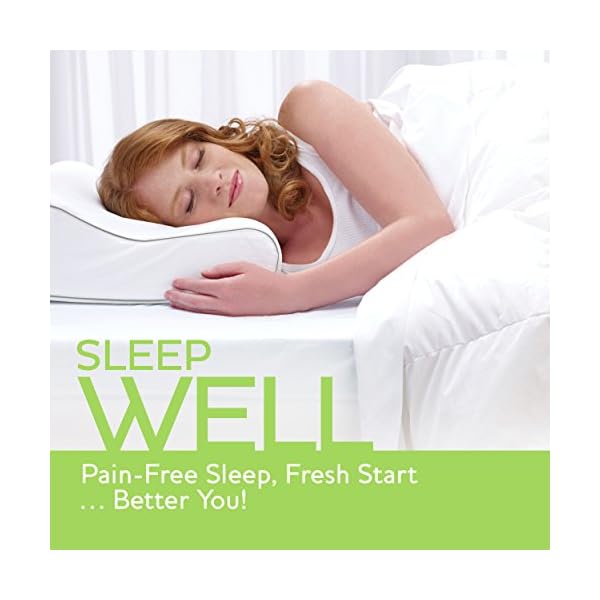 Sleep Innovations Travel Contour Pillow With Cotton Blend Cover