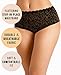 Emprella Women's Plus-Size 4 Pack Hipster Brief Panty with Smooth feel