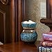 CANDLE WARMERS ETC. Illumination Fragrance Warmer- Light-Up Warmer for Warming Scented Candle Wax Melts and Tarts or Essential Oils to Freshen Room, Fleur De Lis