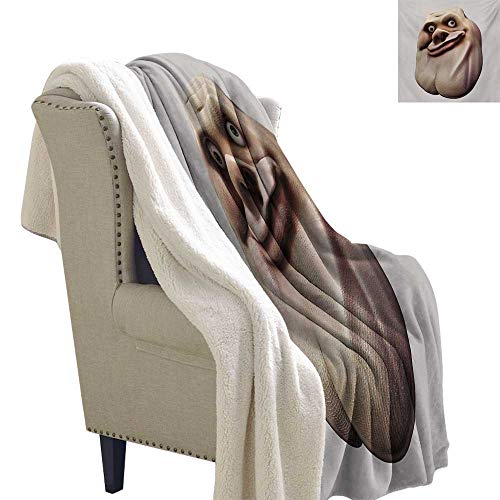 Sunnyhome Humor Blanket Small Quilt 60x47 Inch Awkward Meme Face with Unusual Facial Gesture Ugly Mock Smug Forum Art Design Blanket Pearl and Tan - Thumbnail 5