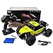 KingPow 2WD Rc Car 2.4GHz Radio Remote Control Truck 1:16 Electric Rock Crawler Control Cars Off Road High Speed 25KM/h-Yellow