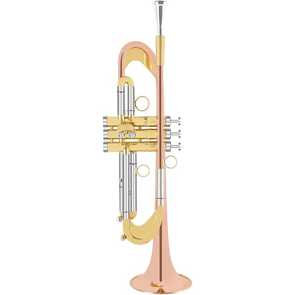 Amazon.com: Trumpet Mouthpiece Booster by KGU Music. Custom