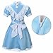 Bonamana Women Halloween French Lolita Maid Costume Cosplay with Apron (M) Blue
