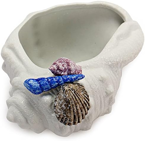 EPGardening Snow glaze ceramic flower plant pot,conch decor,6.9"L x 4.7"W x 3.5"H