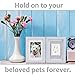 Better World Pets Paw Print + Photo Keepsake Frame Holds 4 x 6 inch or 5 x 7 Picture – Memorial Clay Imprint Kit – for Dogs and Cats – Perfect for Pet Lovers – Hinged for Desktop, Grey