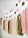 Ella Mint 20PCS Tissue Decoration Kit | Pretty Party Supplies: Pom Flowers, Garland & Tassels | Pastel Pink, Cream & Gold Polka Dot | Perfect poms for baby shower or girls first birthday!